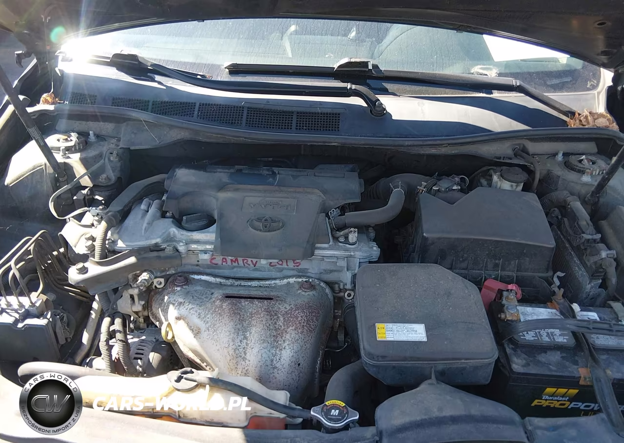 2015 Toyota Camry Se VIN:4T1BF1FK4FU979699 - 10