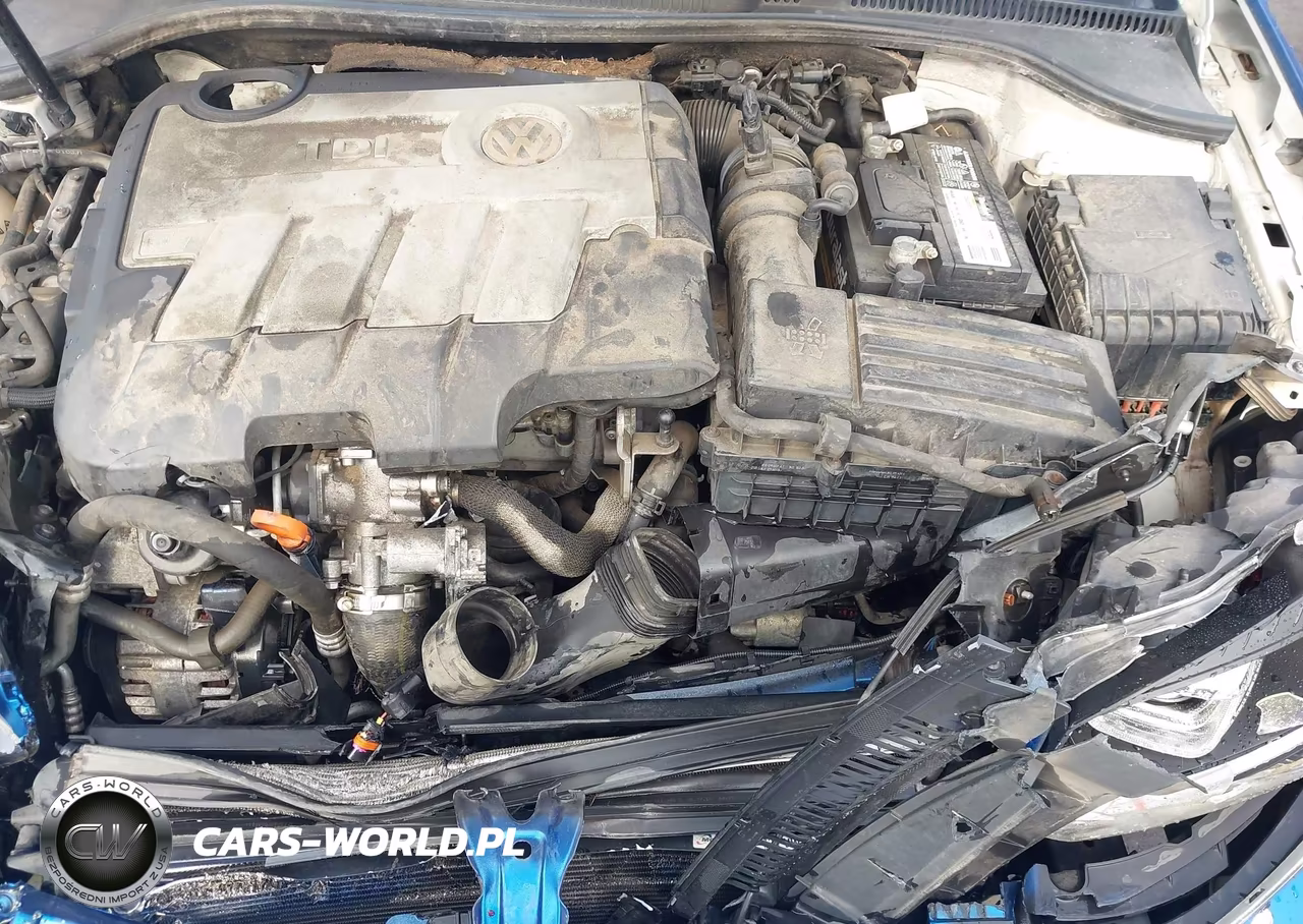 2011 Volkswagen Golf Tdi 4-Door VIN:WVWDM7AJ8BW129125 - 18