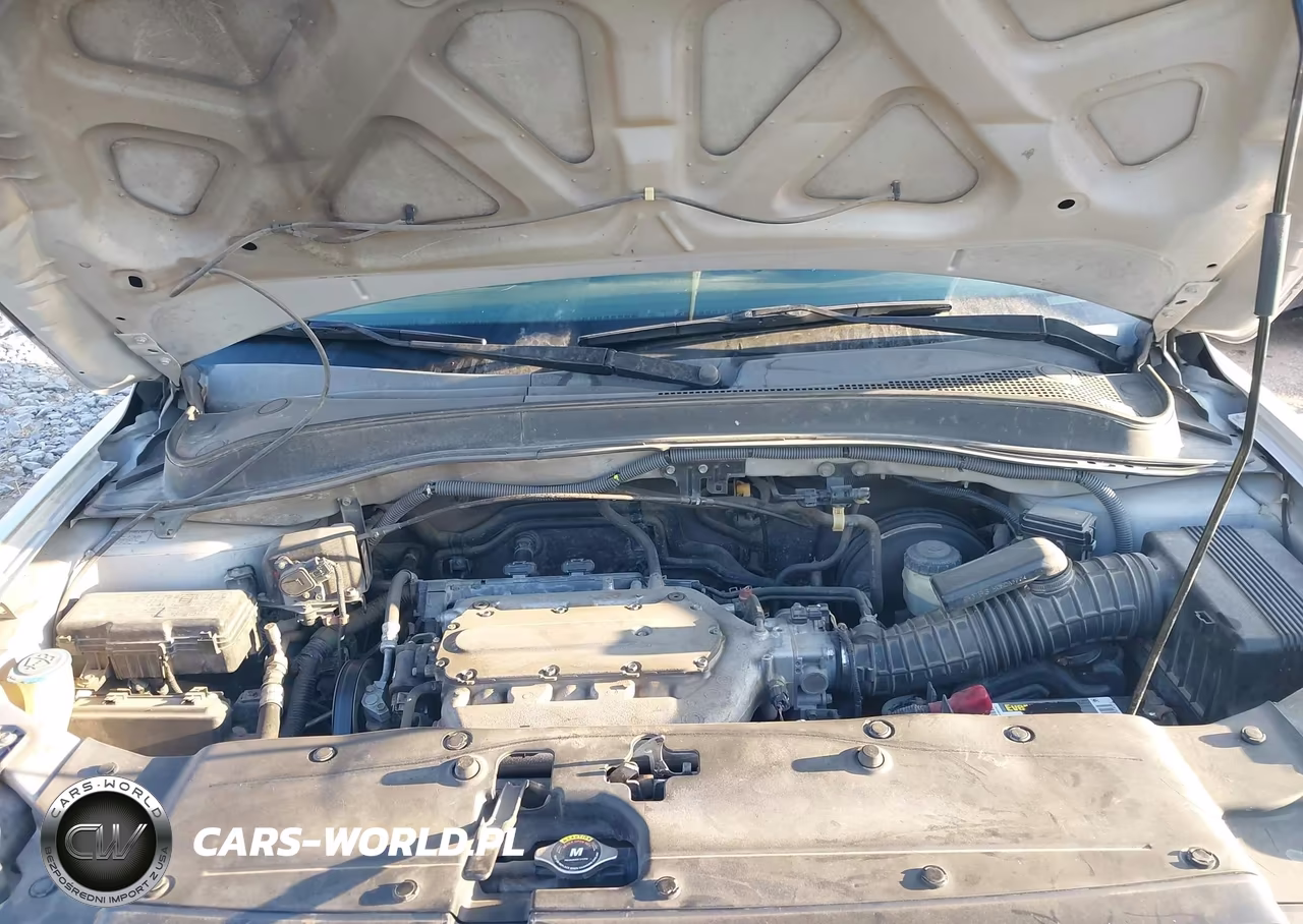 2007 Honda Pilot Ex-L VIN:5FNYF28607B024512 - 10