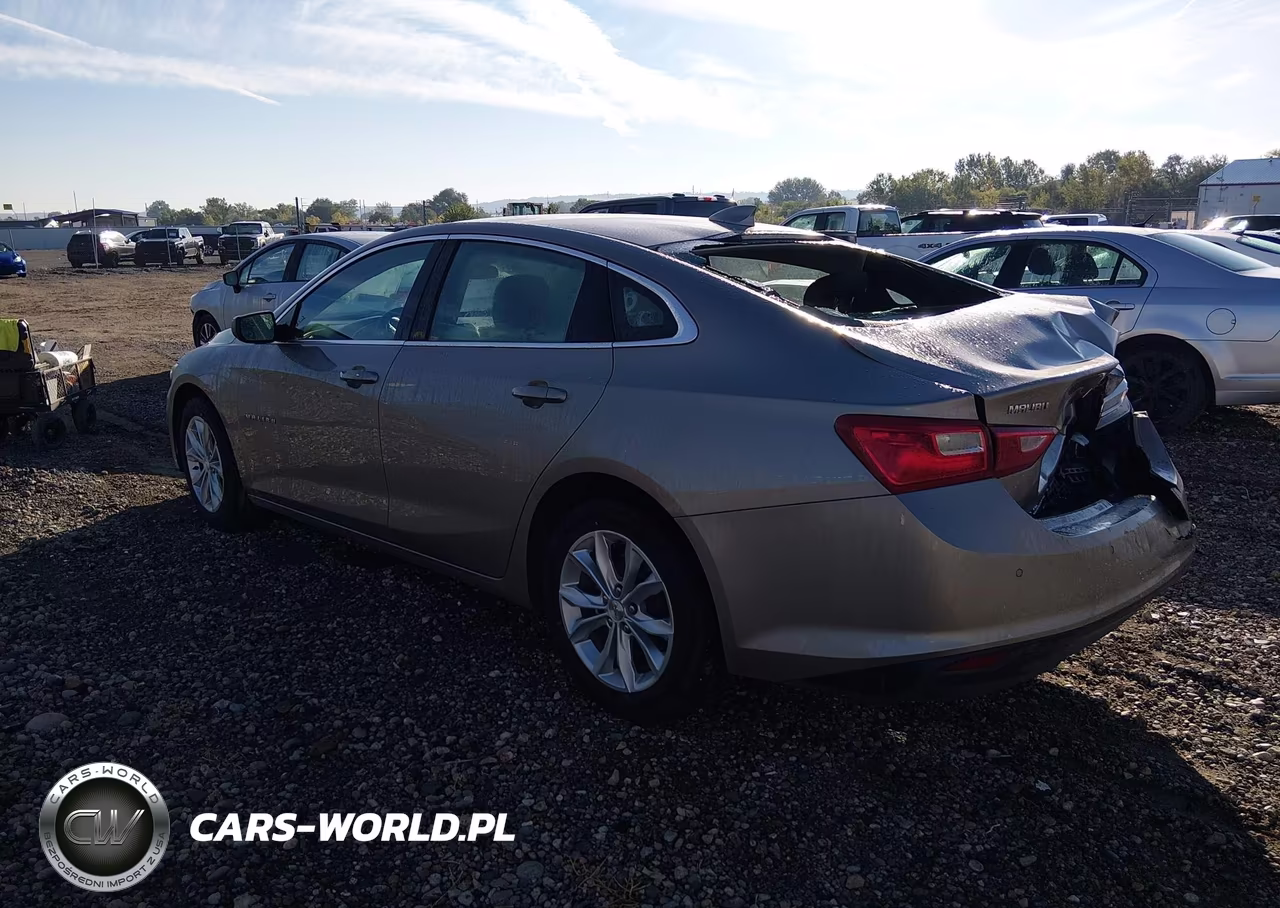 2025 Chevrolet Malibu Fwd 1Lt VIN:1G1ZD5ST3SF141430 - 3