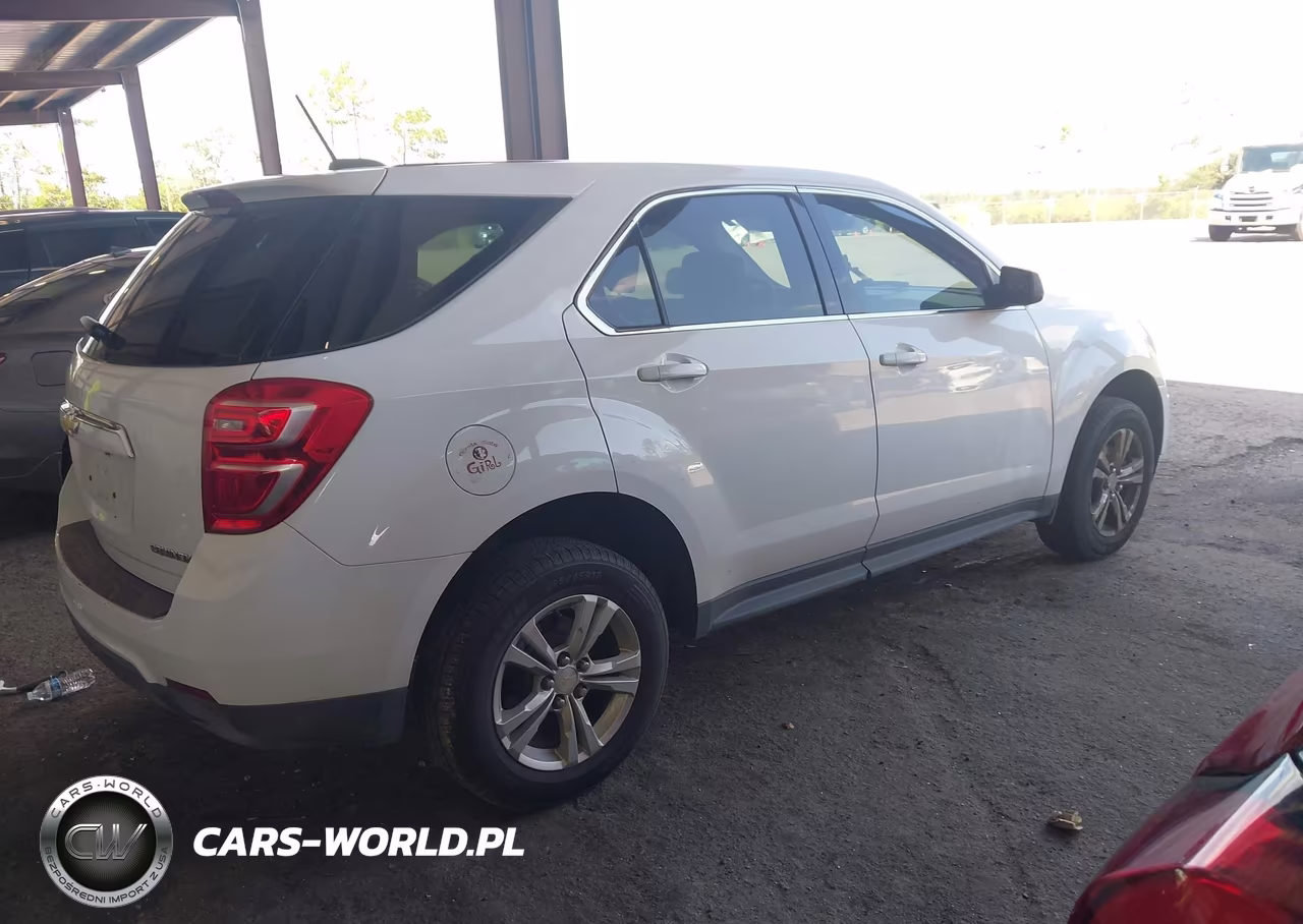 2016 Chevrolet Equinox Ls VIN:2GNALBEK2G1165457 - 4
