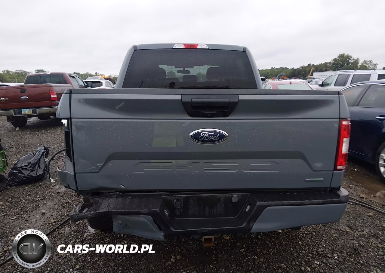 2020 Ford F-150 Xl VIN:1FTEW1CP0LKE57855 - 16