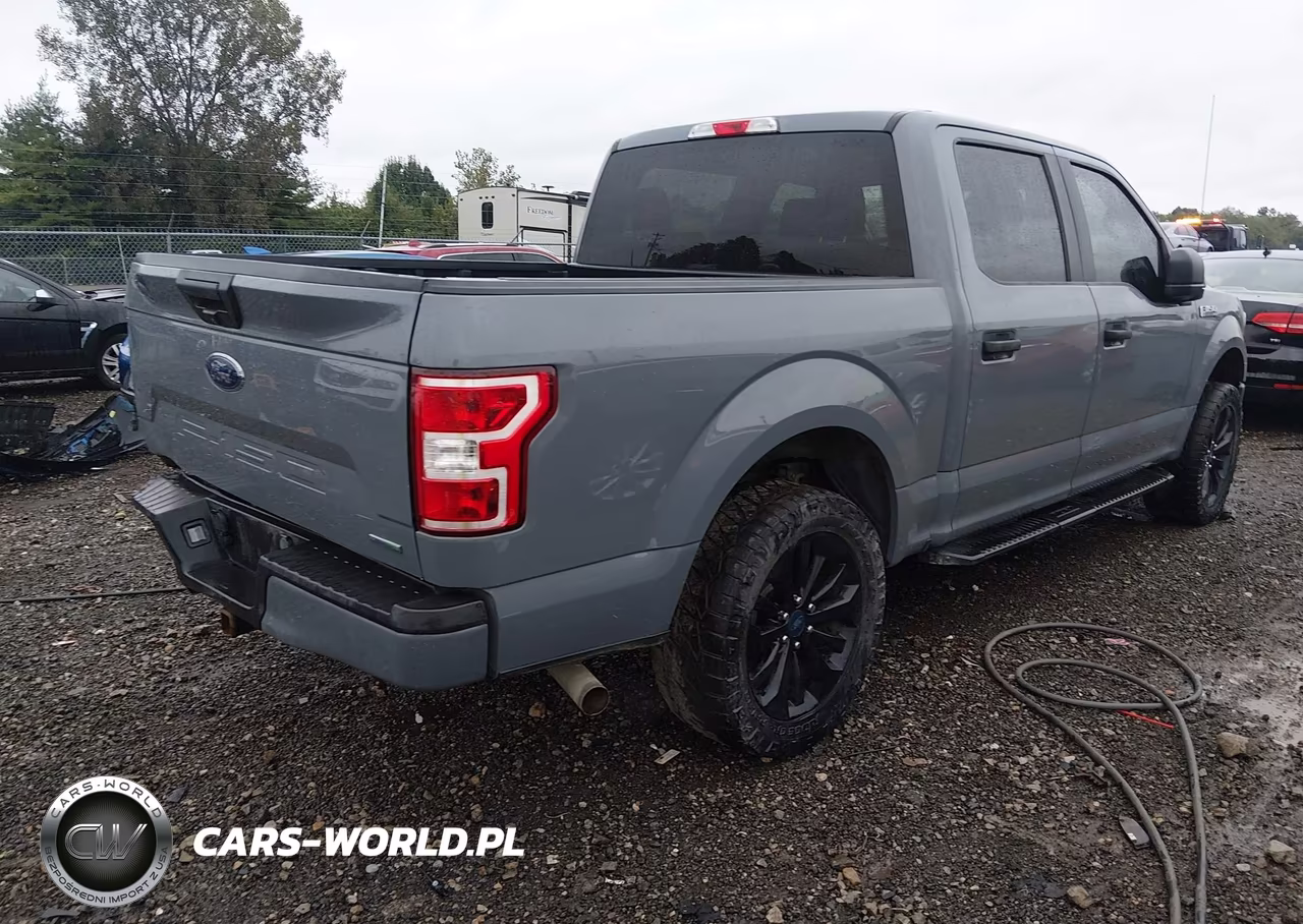 2020 Ford F-150 Xl VIN:1FTEW1CP0LKE57855 - 4
