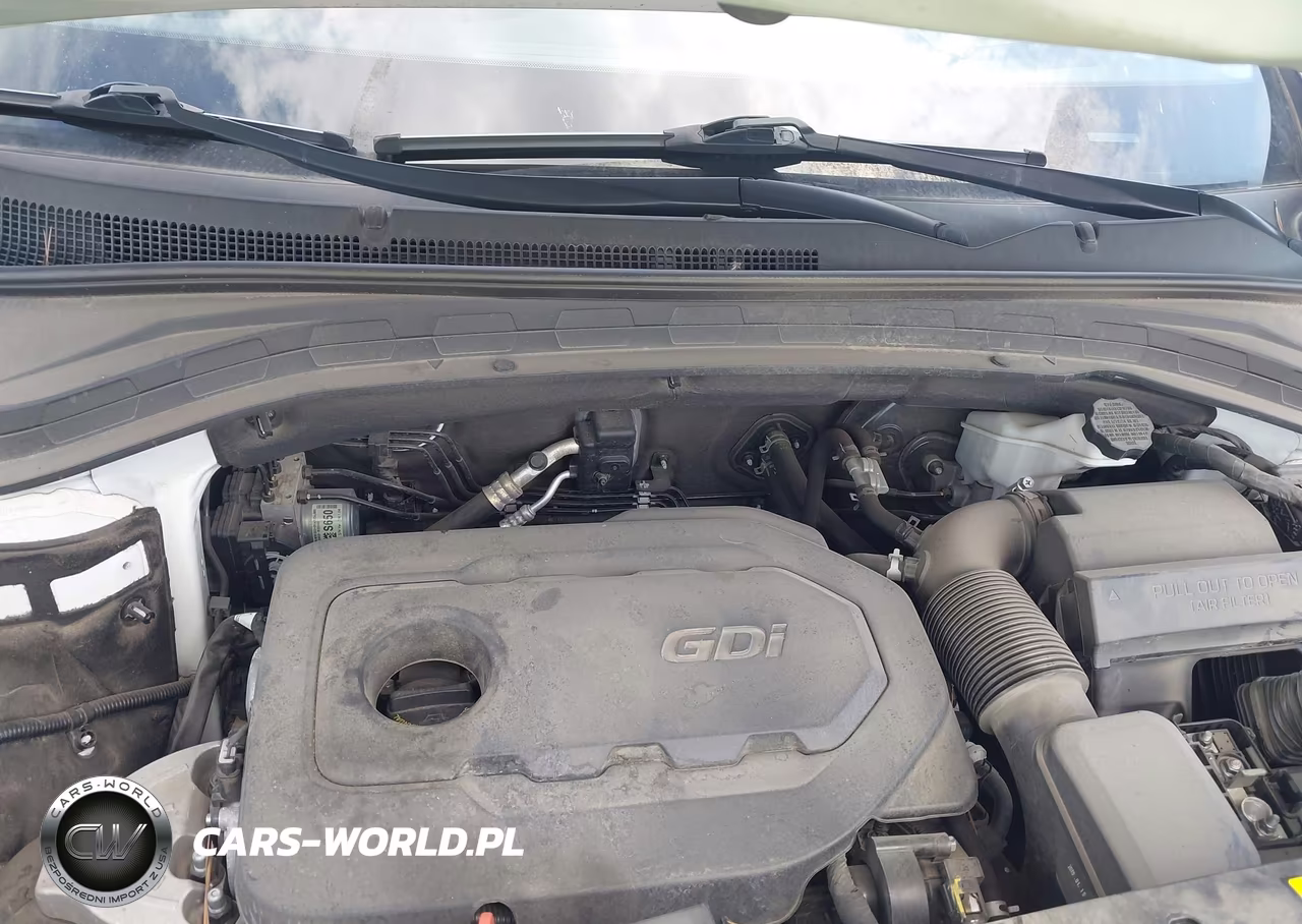 2020 Hyundai Santa Fe Limited VIN:5NMS5CAD8LH264567 - 10