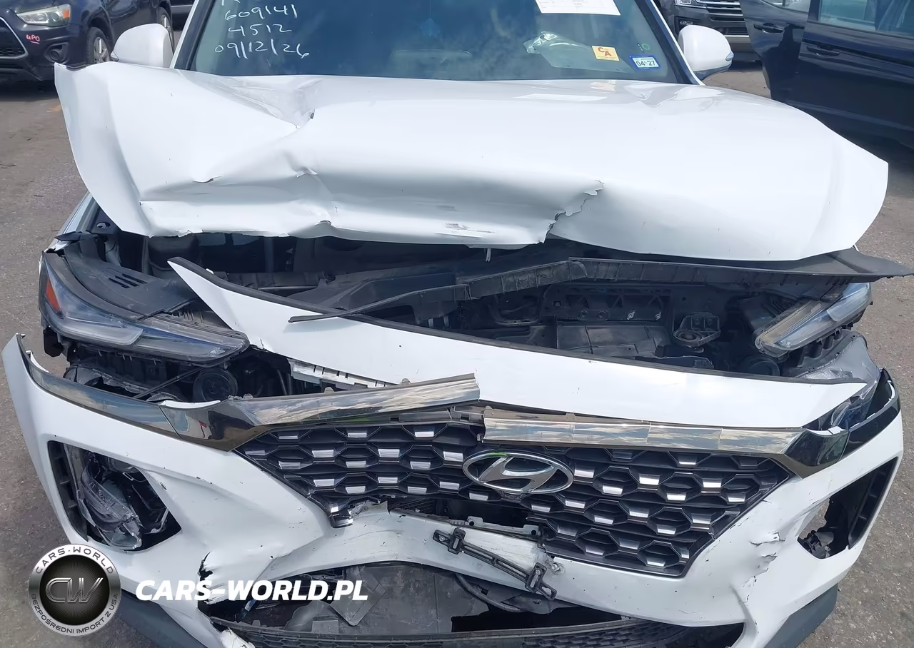 2020 Hyundai Santa Fe Limited VIN:5NMS5CAD8LH264567 - 6