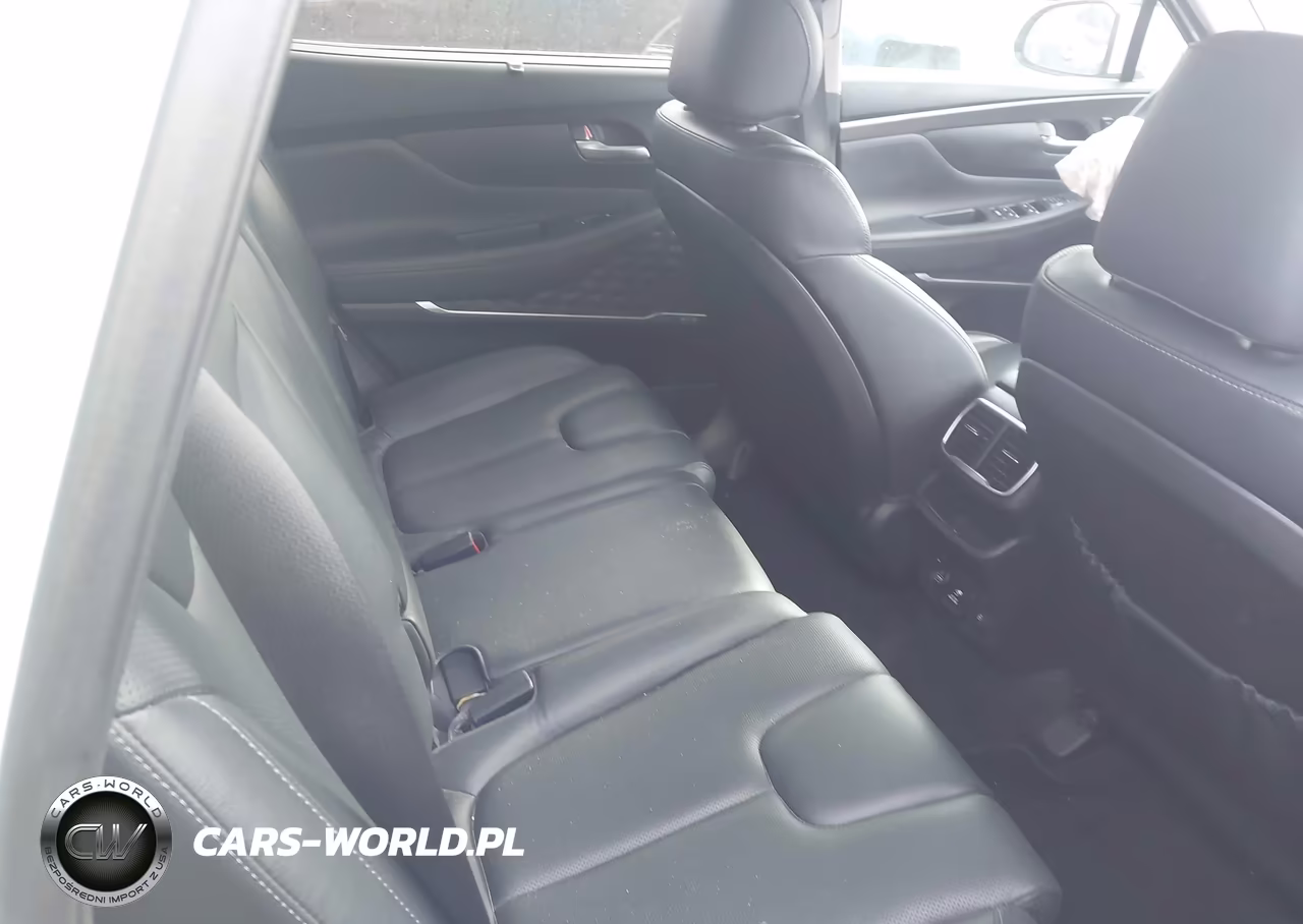 2020 Hyundai Santa Fe Limited VIN:5NMS5CAD8LH264567 - 8