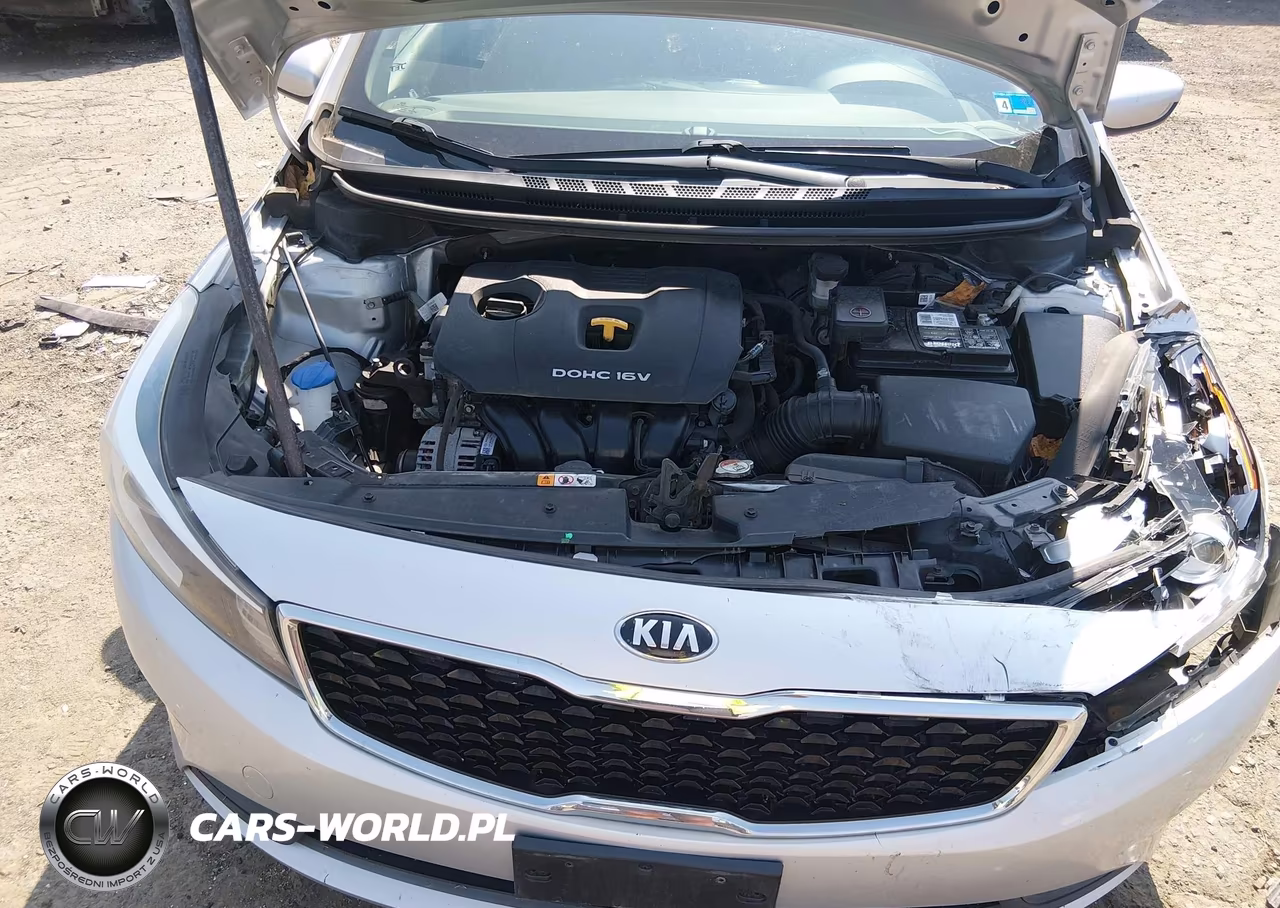 2018 Kia Forte Lx VIN:3KPFK4A72JE270041 - 10