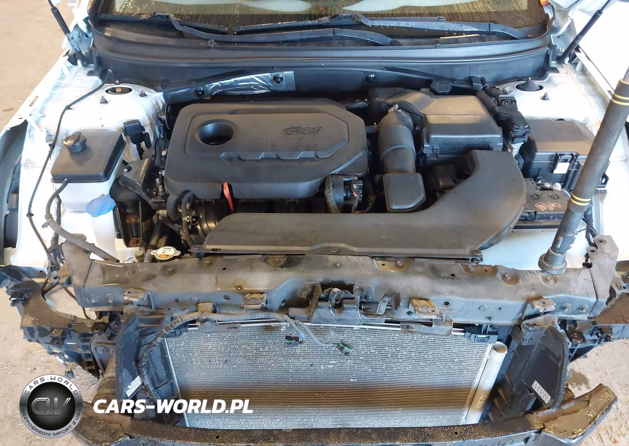 2016 Hyundai Sonata Sport VIN:5NPE34AF0GH333416 - 10