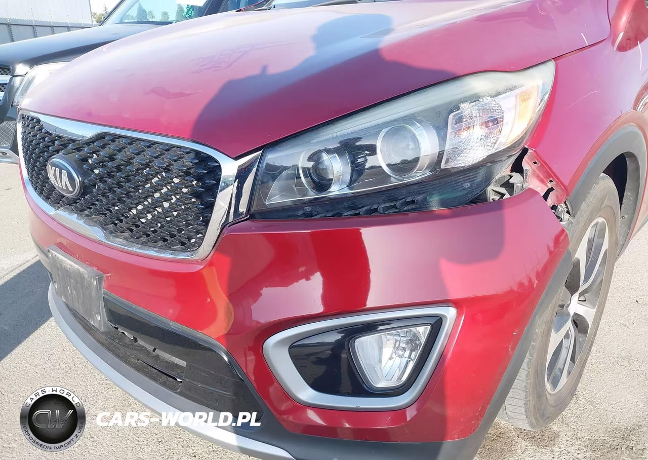 2016 Kia Sorento 3.3L Ex VIN:5XYPH4A5XGG153465 - 19
