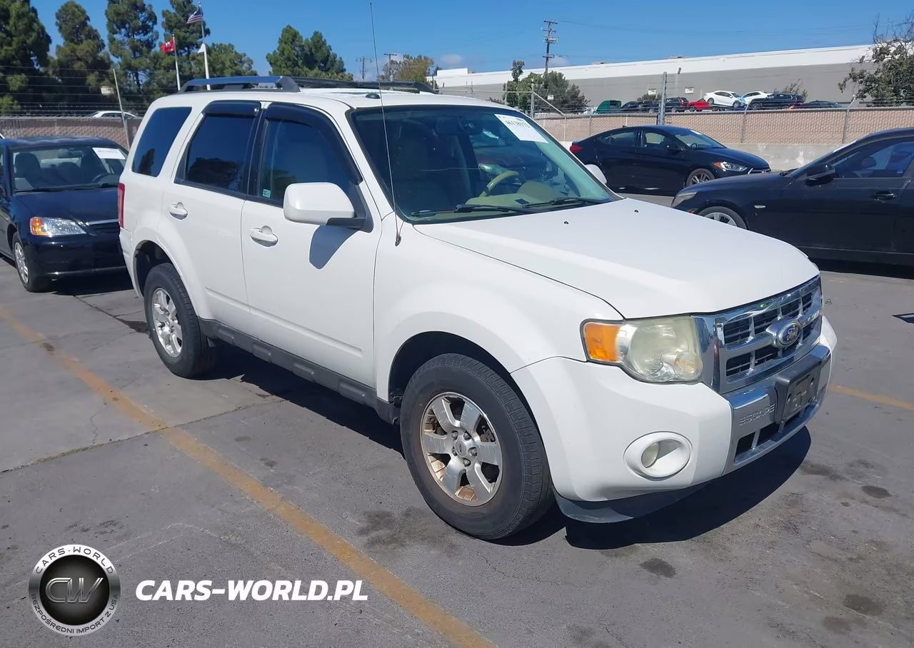 2010 Ford Escape Limited