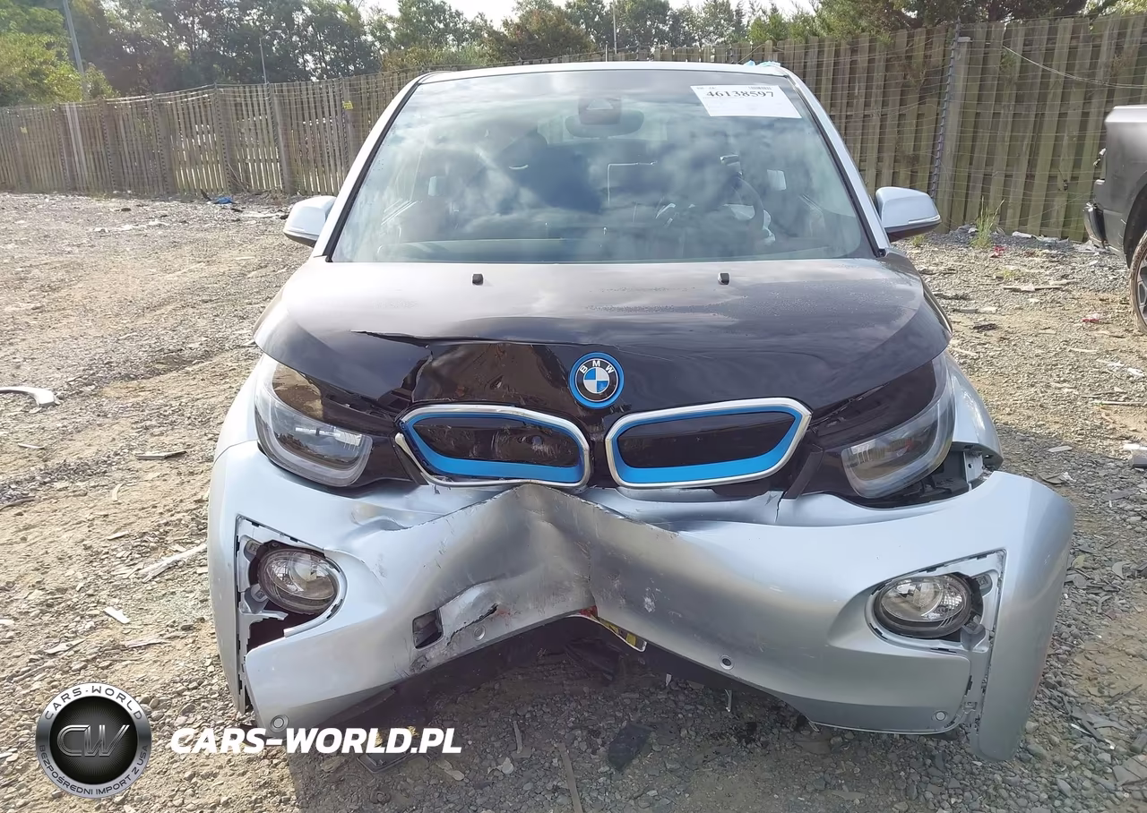 2014 BMW I3 VIN:WBY1Z2C51EVX51517 - 12