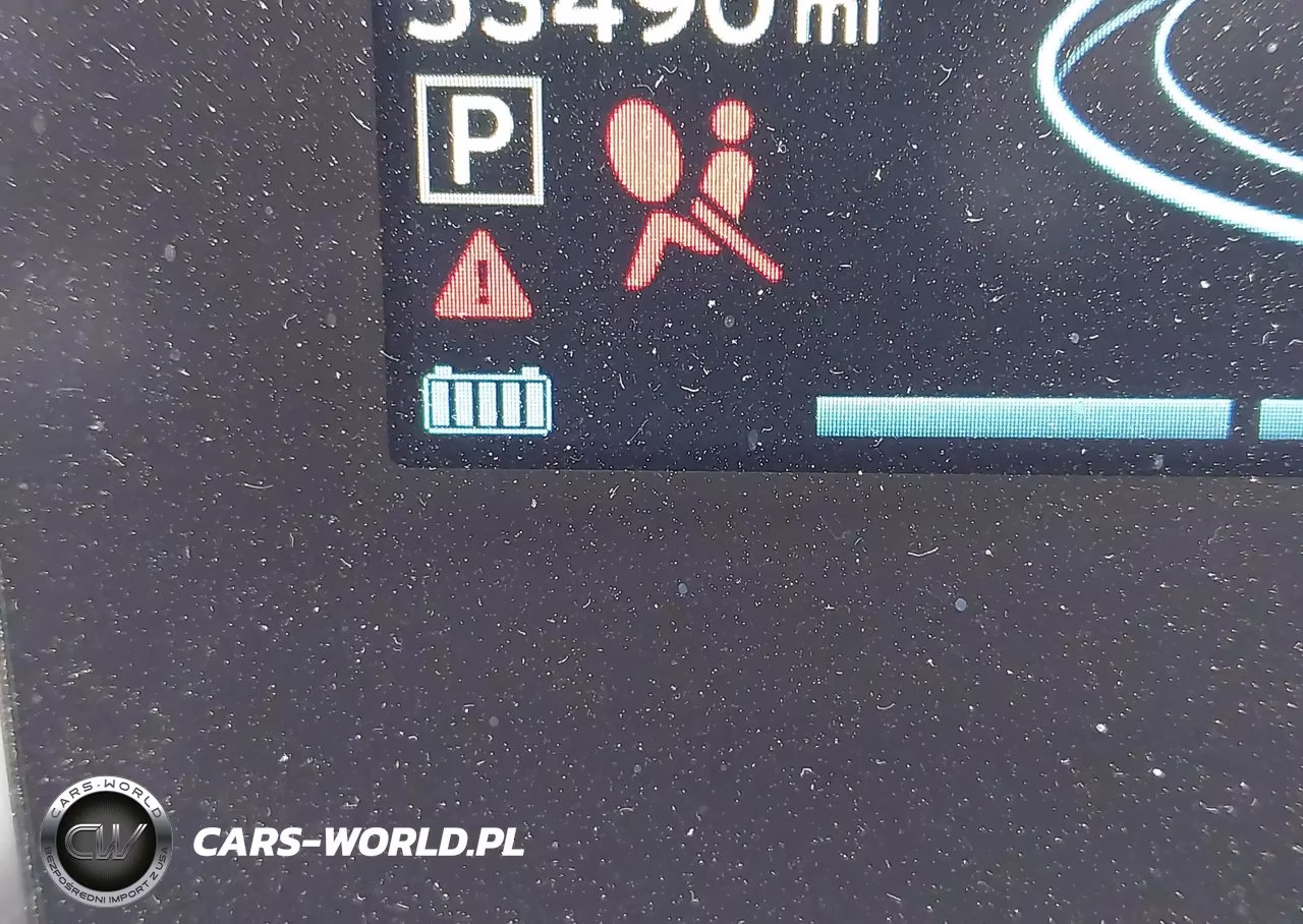 2014 BMW I3 VIN:WBY1Z2C51EVX51517 - 17