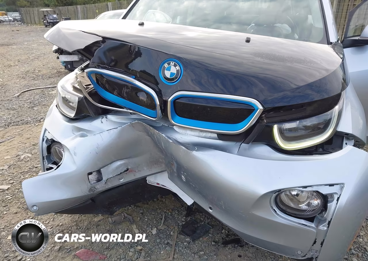2014 BMW I3 VIN:WBY1Z2C51EVX51517 - 6