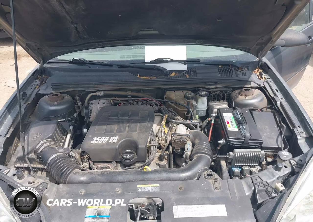 2005 Chevrolet Malibu Ls VIN:1G1ZT54845F295919 - 10