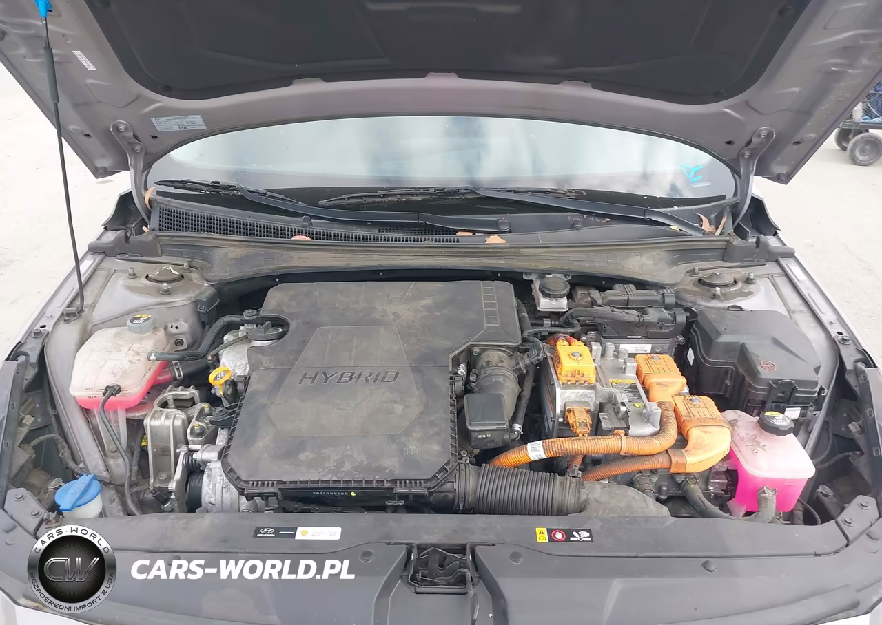 2023 Hyundai Elantra Hybrid Limited VIN:KMHLN4AJ5PU045804 - 10