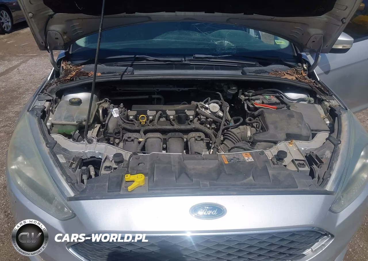 2015 Ford Focus Se VIN:1FADP3K29FL261301 - 10