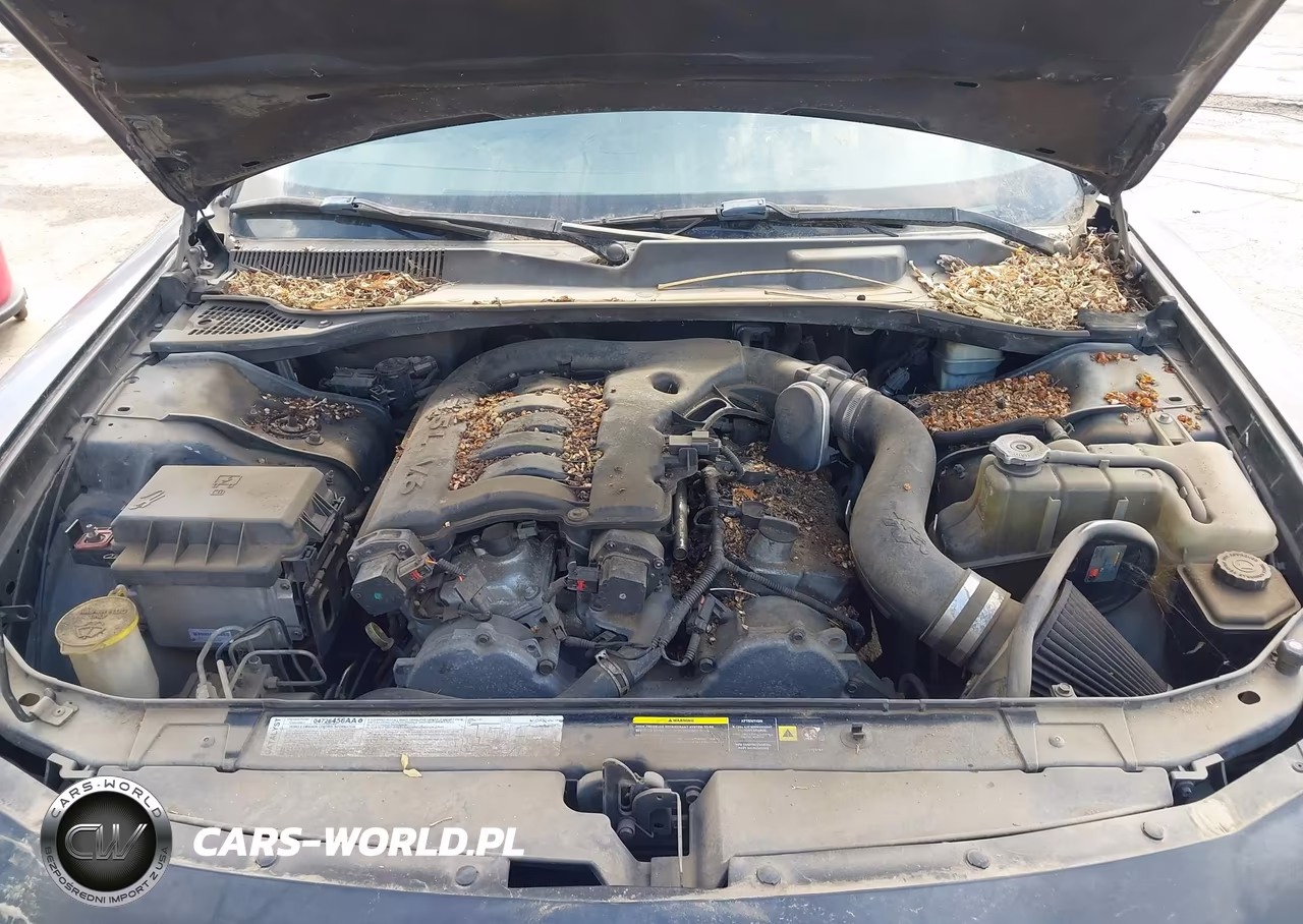 2006 Dodge Charger VIN:2B3KA43G86H283193 - 10