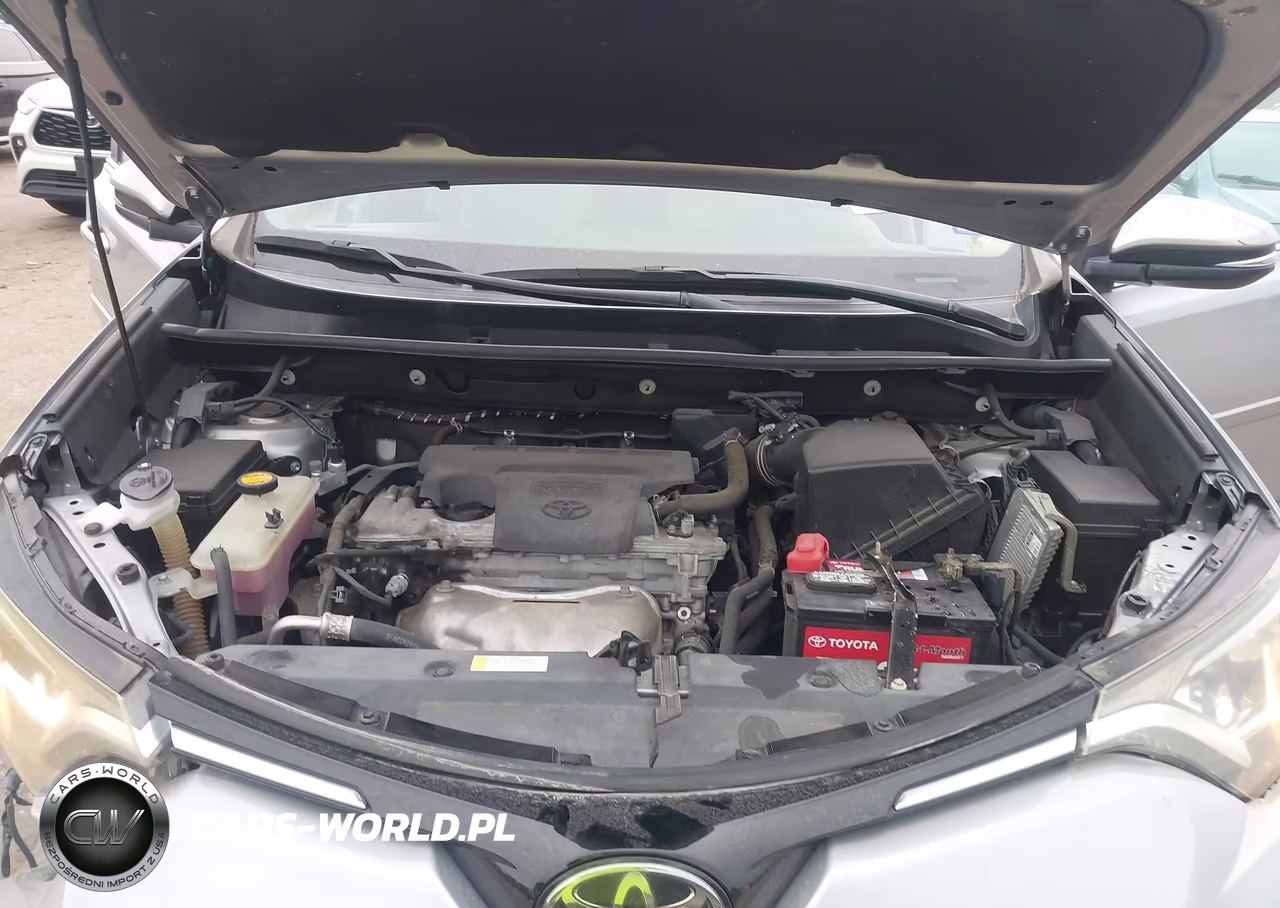 2017 Toyota Rav4 Xle VIN:2T3WFREV0HW383933 - 10