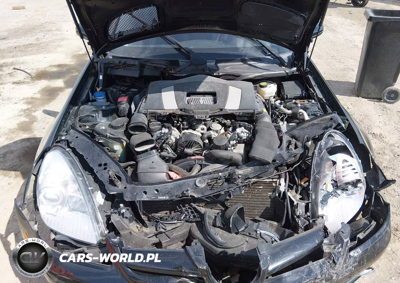 2009 Mercedes-Benz Slk 300 VIN:WDBWK54FX9F200134 - 10