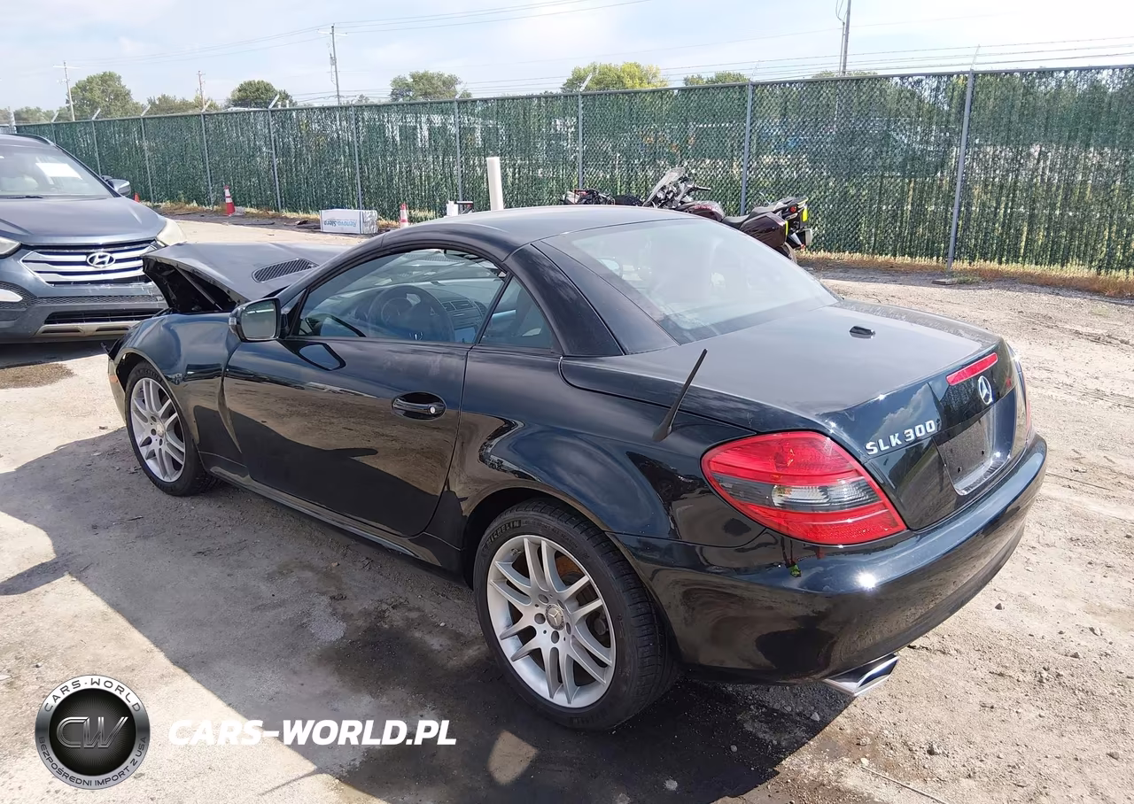 2009 Mercedes-Benz Slk 300 VIN:WDBWK54FX9F200134 - 3