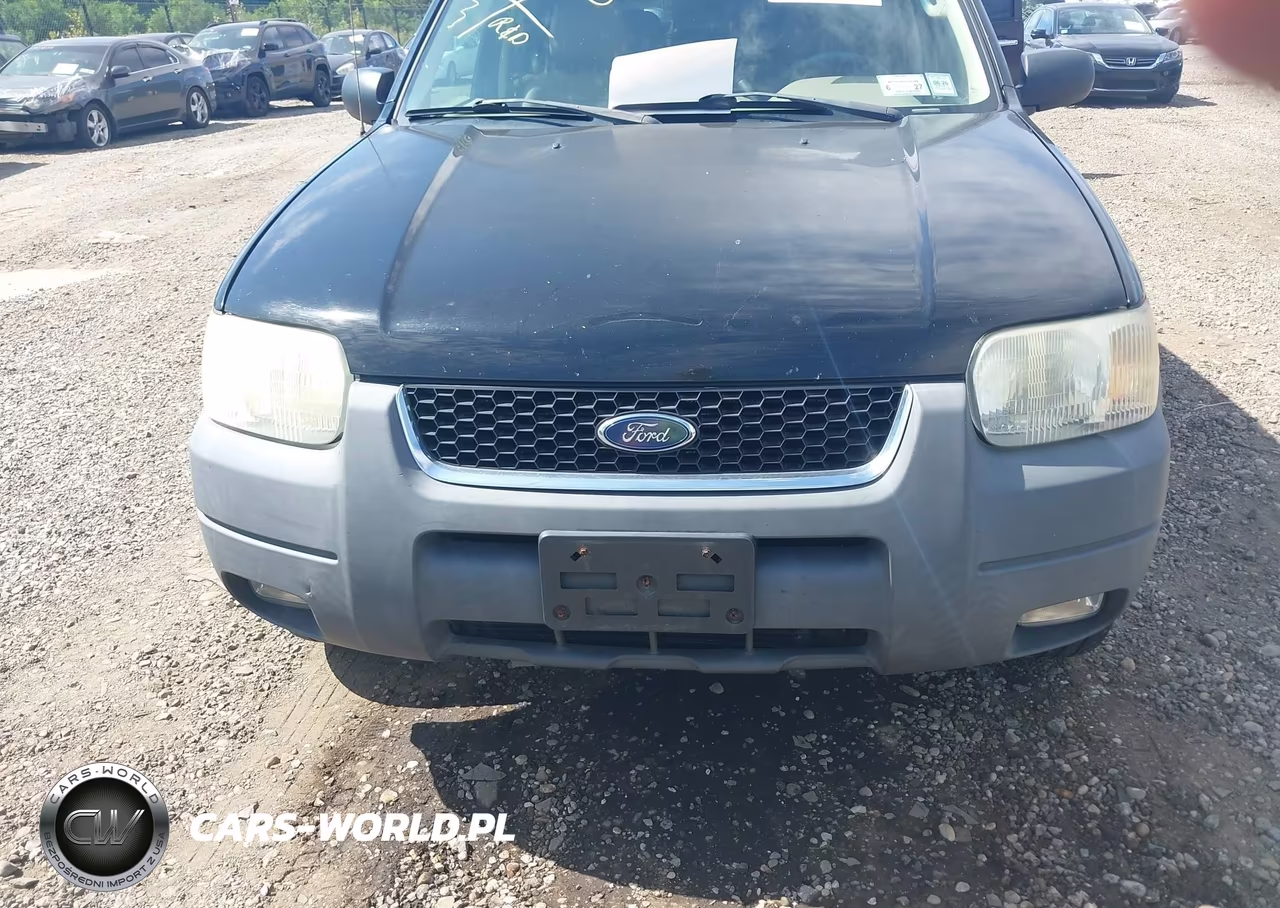 2004 Ford Escape Xlt VIN:1FMCU931X4KB53128 - 6