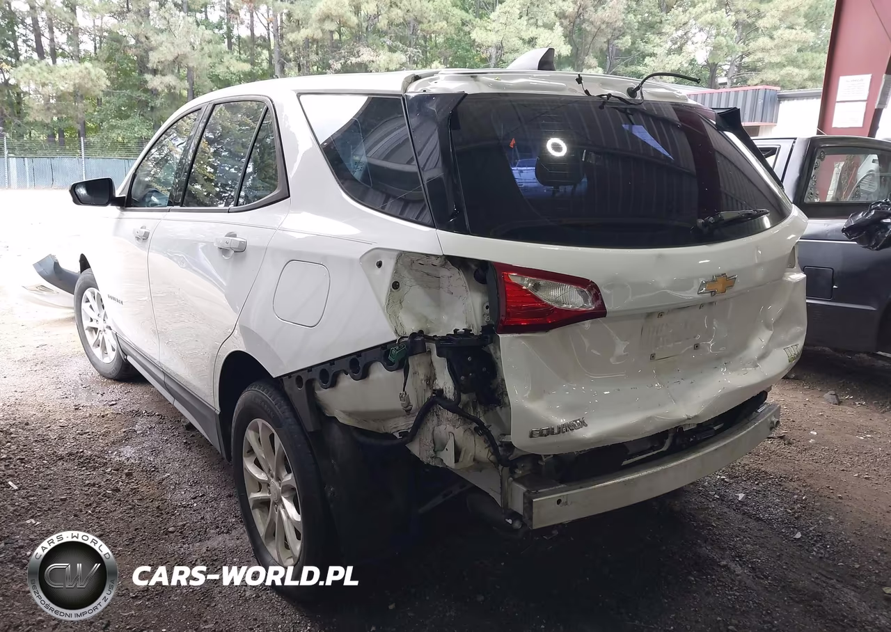2018 Chevrolet Equinox Ls VIN:3GNAXHEV1JS571954 - 3