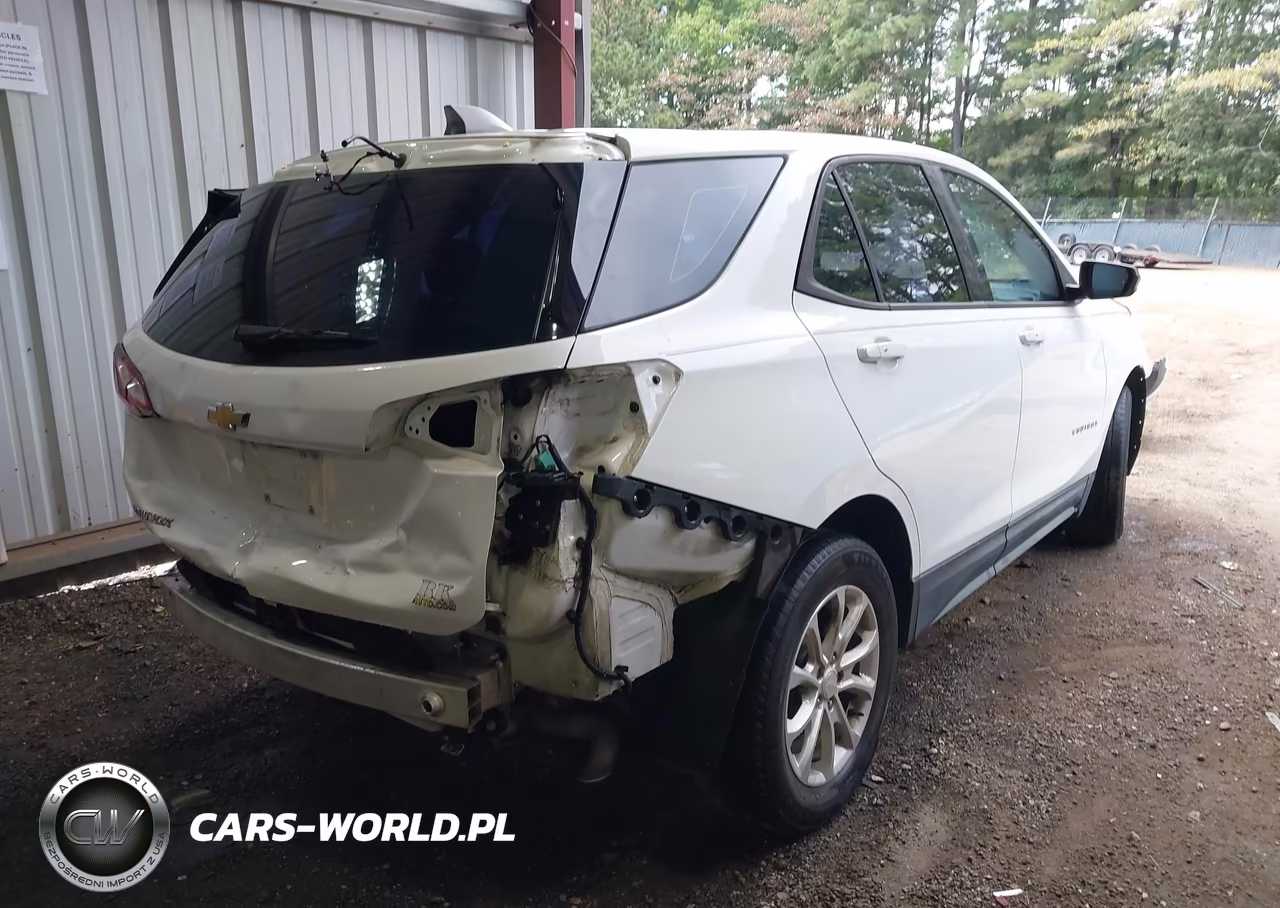 2018 Chevrolet Equinox Ls VIN:3GNAXHEV1JS571954 - 4