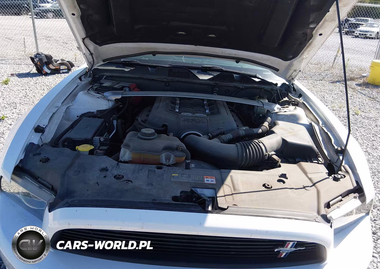2014 Ford Mustang Gt Premium VIN:1ZVBP8CF0E5245276 - 10