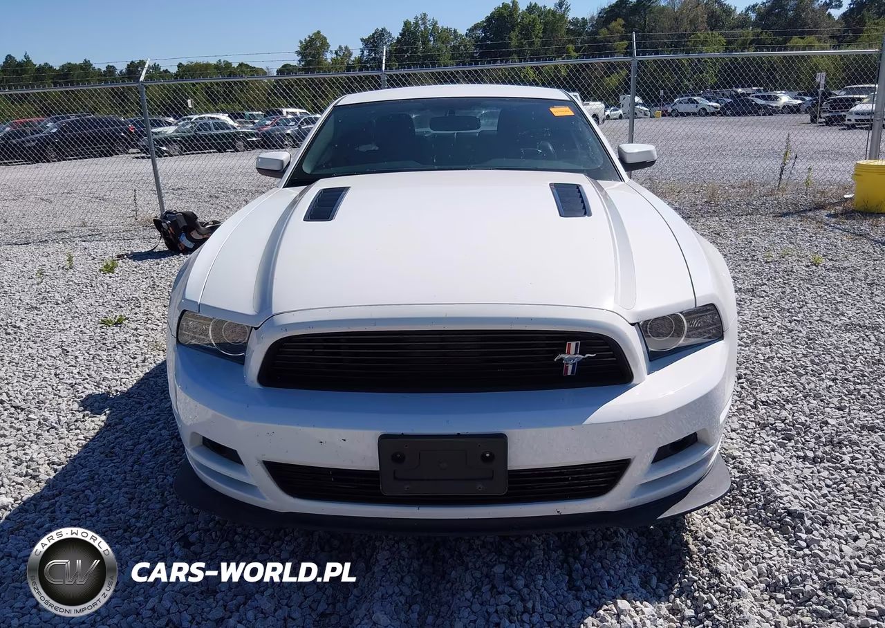 2014 Ford Mustang Gt Premium VIN:1ZVBP8CF0E5245276 - 12