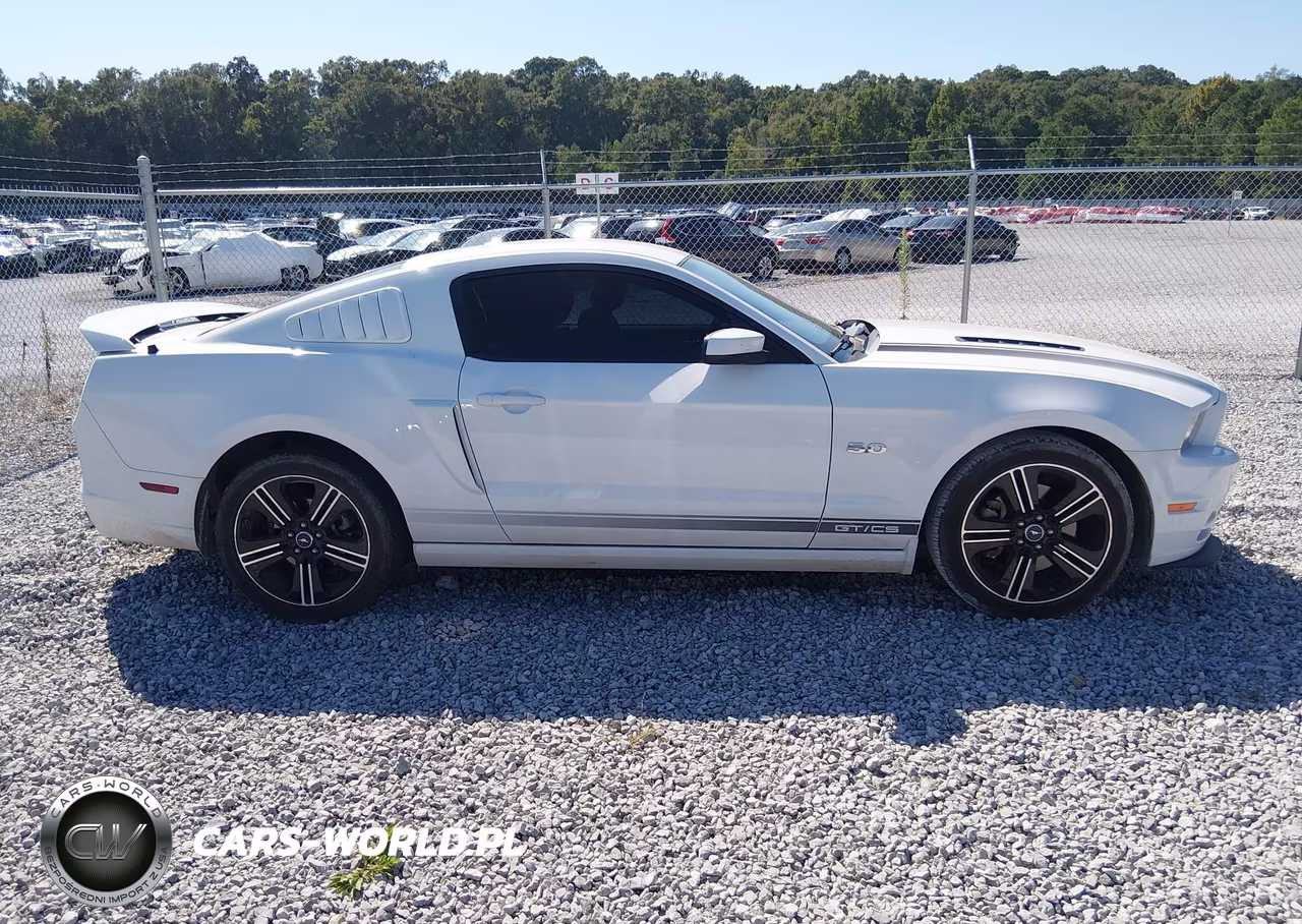 2014 Ford Mustang Gt Premium VIN:1ZVBP8CF0E5245276 - 13