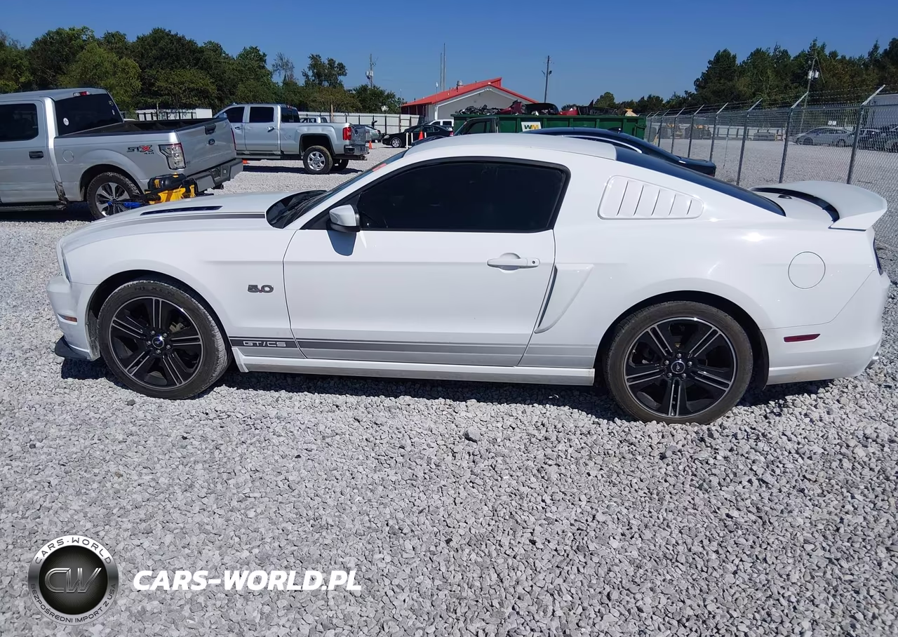 2014 Ford Mustang Gt Premium VIN:1ZVBP8CF0E5245276 - 14