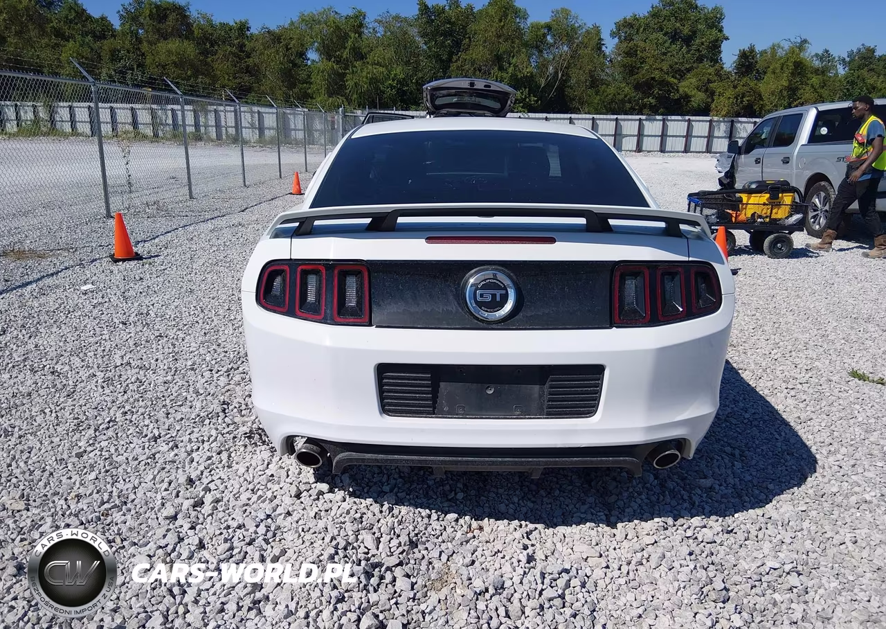 2014 Ford Mustang Gt Premium VIN:1ZVBP8CF0E5245276 - 16