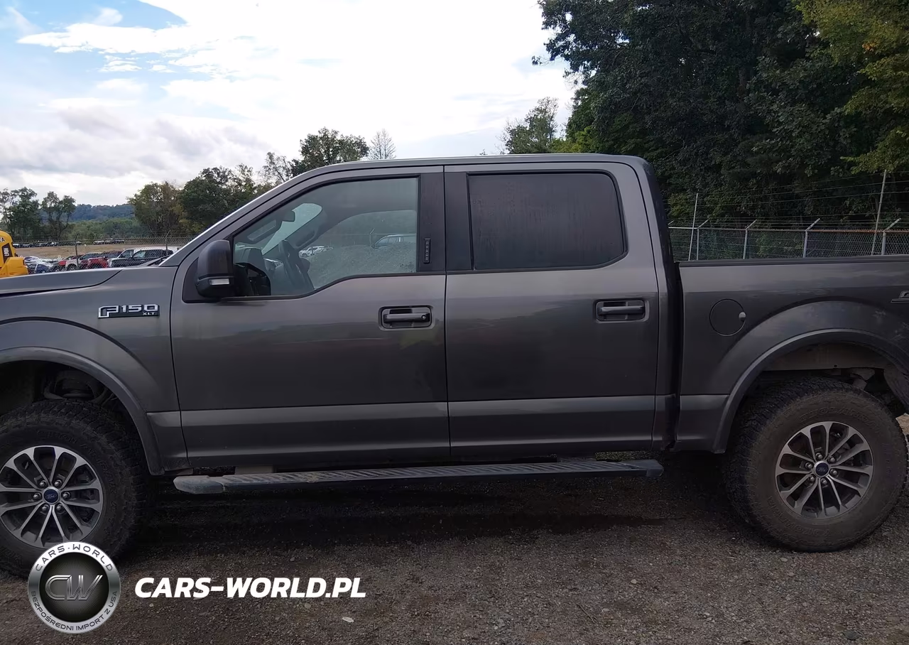 2020 Ford F-150 Xlt VIN:1FTEW1EP0LFA61303 - 13