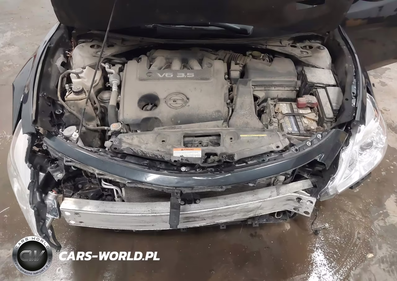 2013 Nissan Altima 3.5 Sv VIN:1N4BL3AP8DC181274 - 10