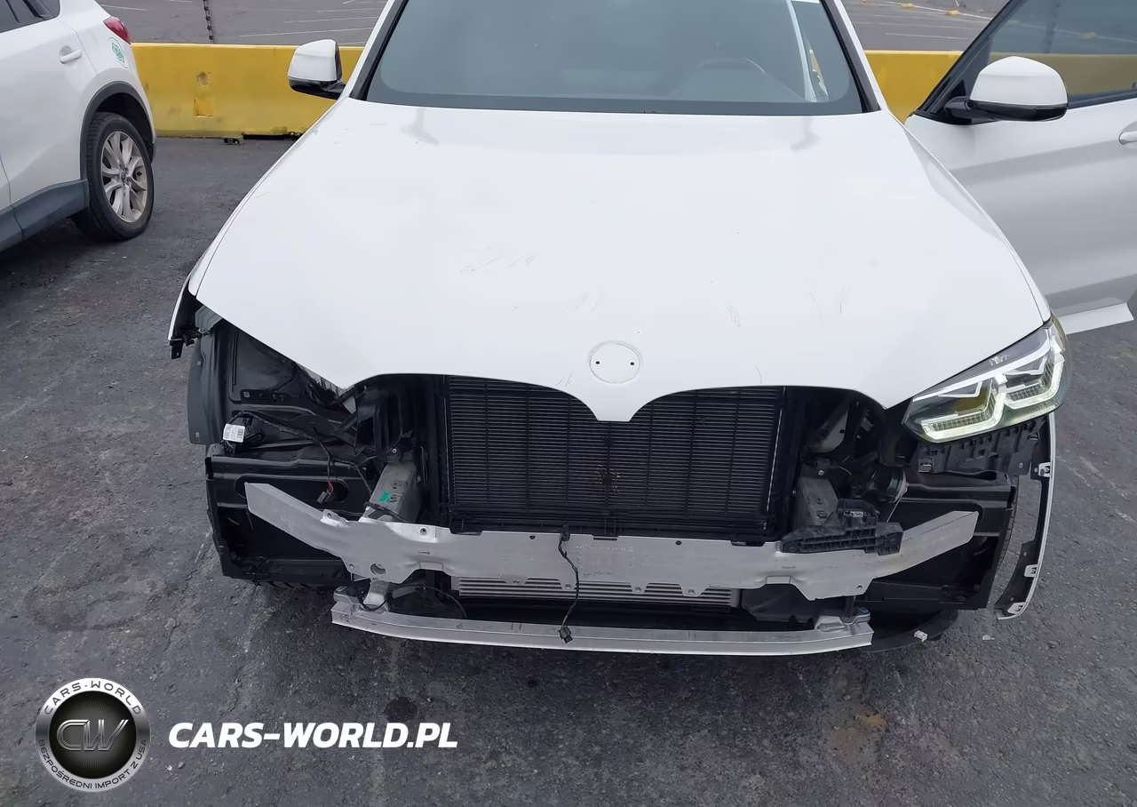 2023 BMW X3 xDrive30I VIN:5UX53DP04P9P09805 - 6