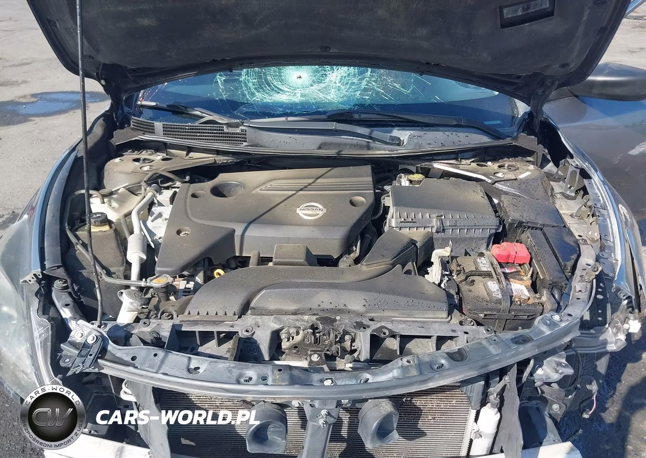 2014 Nissan Altima 2.5-2.5 S-2.5 Sl-2.5 Sv VIN:1N4AL3AP7EN378096 - 10