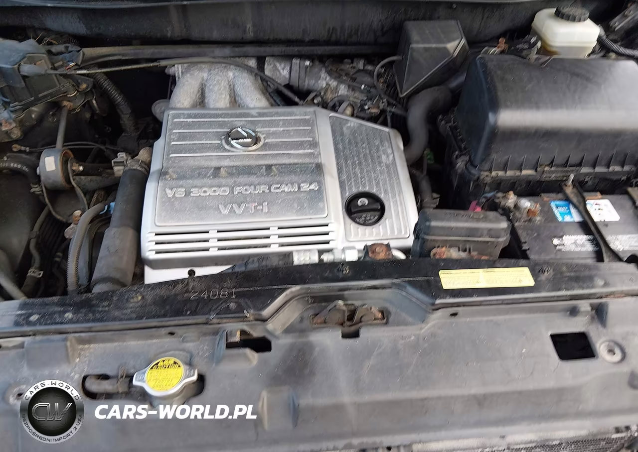 2002 Lexus Rx 300 VIN:JTJHF10U420248343 - 10