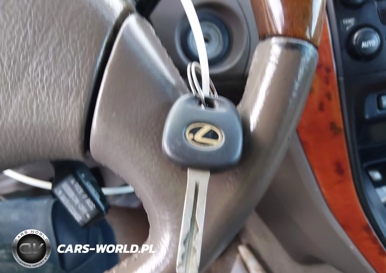 2002 Lexus Rx 300 VIN:JTJHF10U420248343 - 11