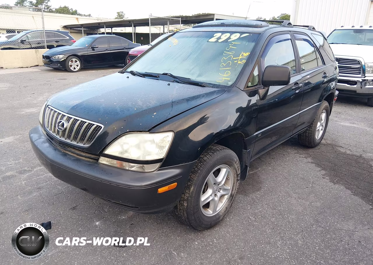 2002 Lexus Rx 300 VIN:JTJHF10U420248343 - 2