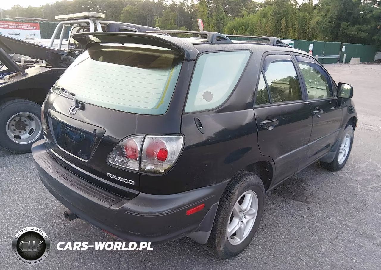 2002 Lexus Rx 300 VIN:JTJHF10U420248343 - 4