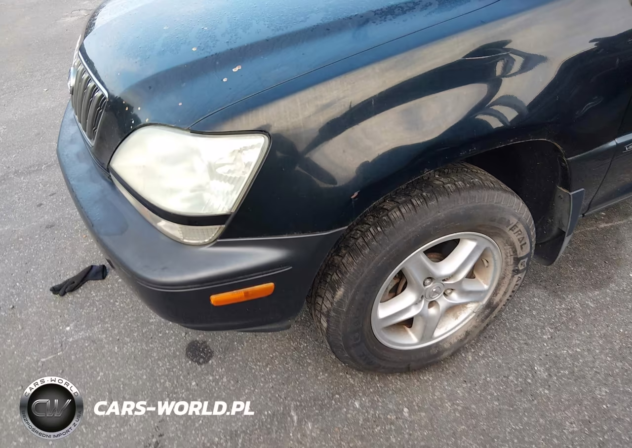 2002 Lexus Rx 300 VIN:JTJHF10U420248343 - 6