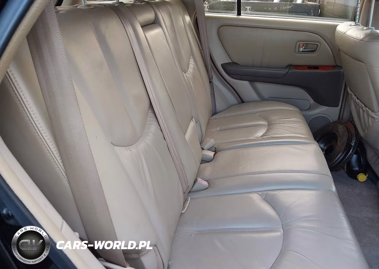 2002 Lexus Rx 300 VIN:JTJHF10U420248343 - 8