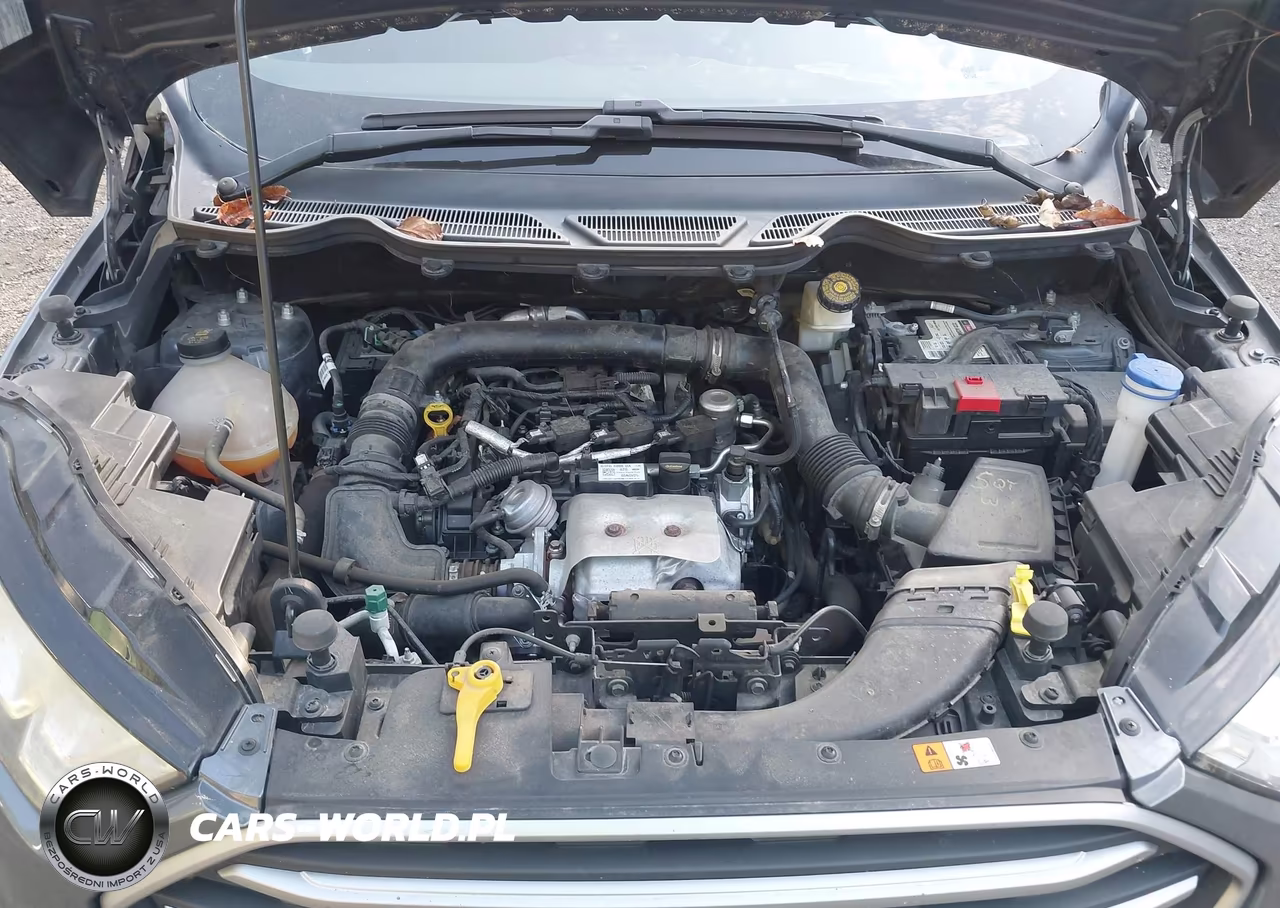 2019 Ford Ecosport Se VIN:MAJ3S2GE7KC258009 - 10