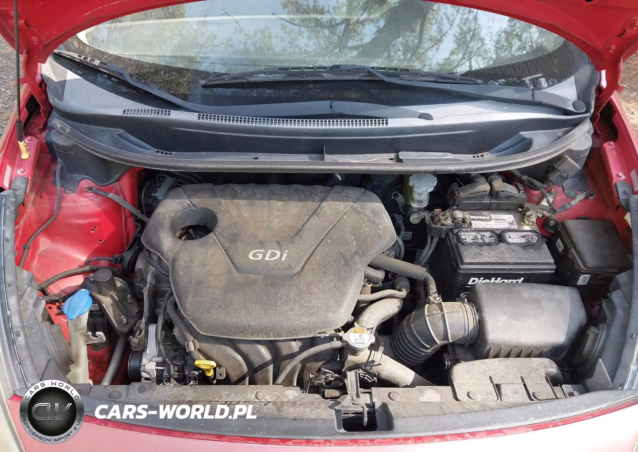 2013 Kia Rio Lx VIN:KNADM5A33D6154066 - 10