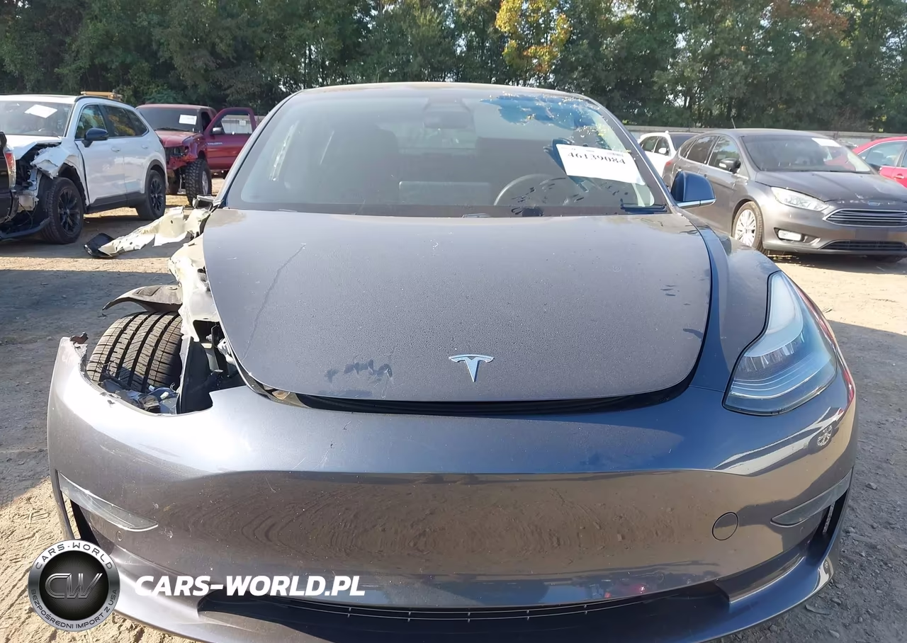 2020 Tesla Model 3 Standard Range Plus Rear-Wheel Drive-Standard Range Rear-Wheel Drive VIN:5YJ3E1EA0LF783512 - 11