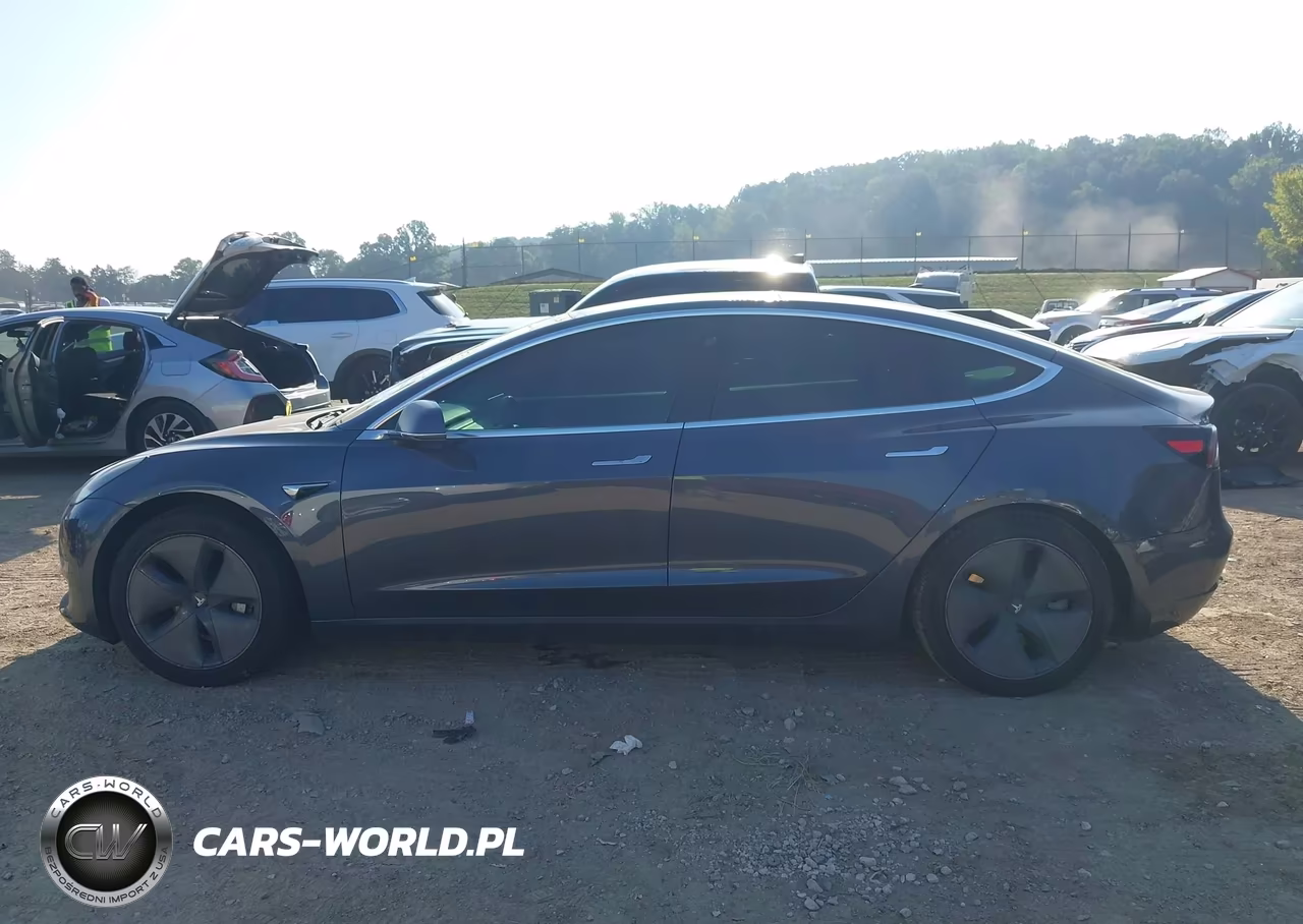 2020 Tesla Model 3 Standard Range Plus Rear-Wheel Drive-Standard Range Rear-Wheel Drive VIN:5YJ3E1EA0LF783512 - 13