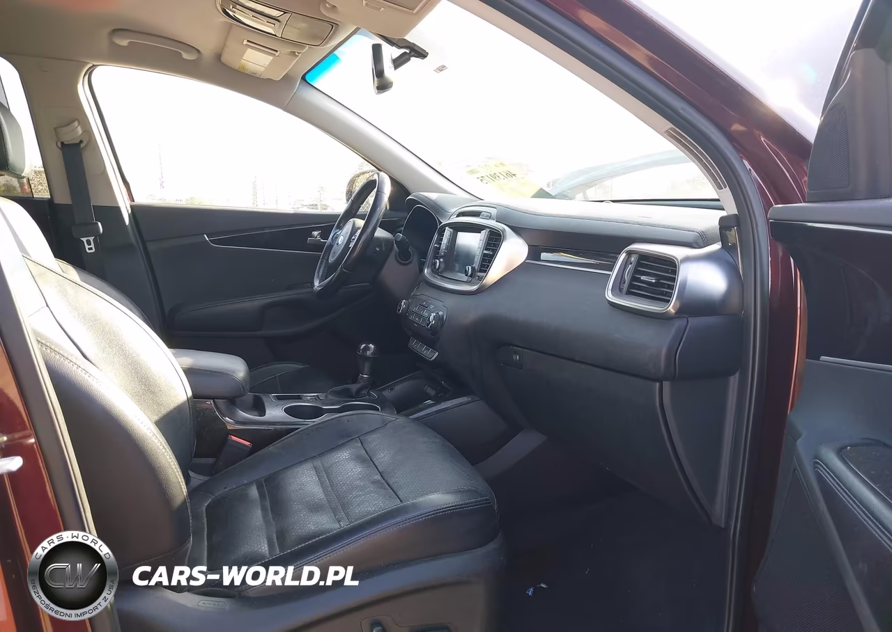 2017 Kia Sorento 3.3L Ex VIN:5XYPH4A58HG243733 - 5