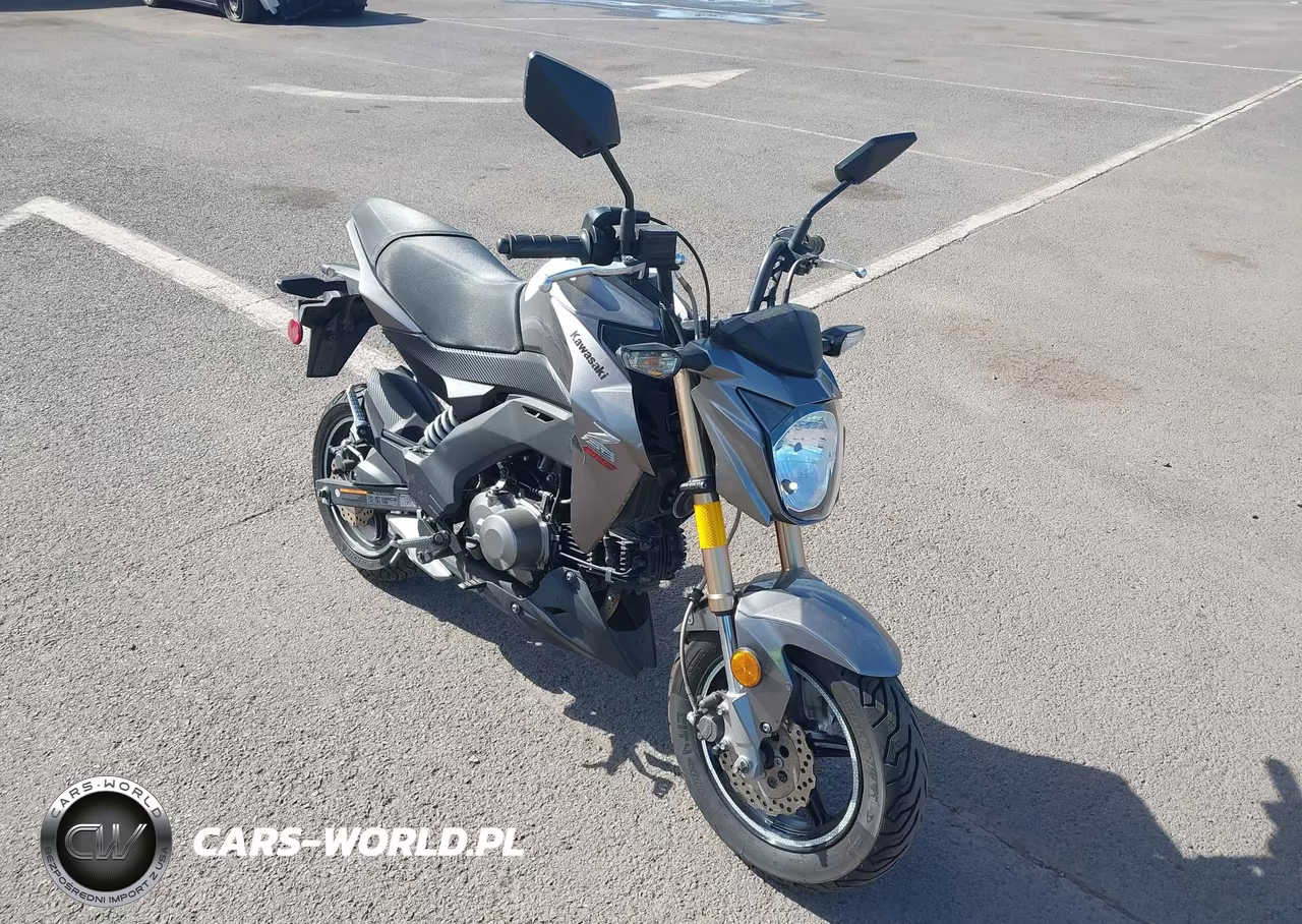 2017 Kawasaki Br125 J – zdjęcie 1 z 13