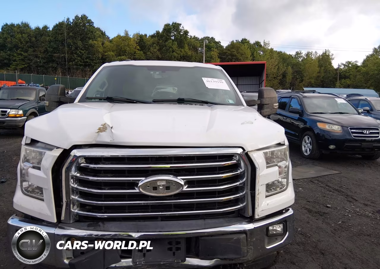 2016 Ford F-150 Xlt VIN:1FTFW1EG4GKD82990 - 12