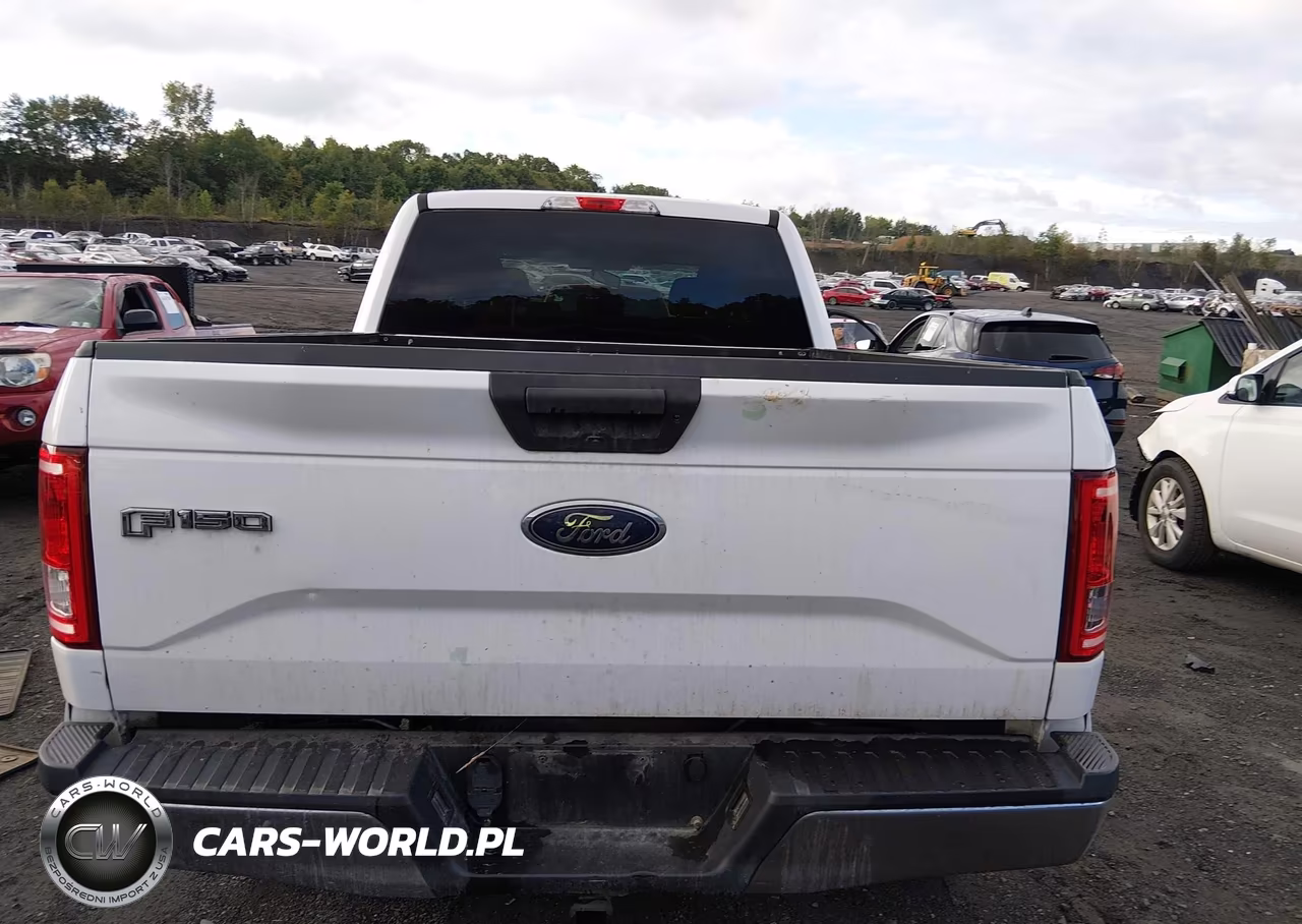 2016 Ford F-150 Xlt VIN:1FTFW1EG4GKD82990 - 16
